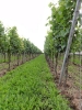 Fruehlingsausfahrt2011_26