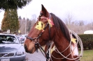 Western Fest_7