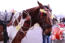 Western Fest_9