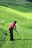 Farmergolf 5.08.2017 _5