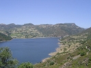 2006_193
