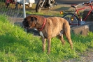 fest2010_143