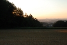 fest2010_178