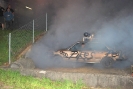 fest2010_249