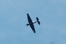 fest2010_81