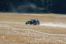 fest2010_98